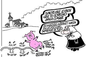 1DAYPRICE_cerdo claque