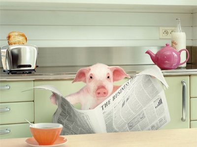 cerdo leyendo
